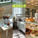 강릉핫플 체크이스트 애견동반 가능한 강릉카페 찾는다면 여기!