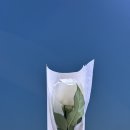 언더카드 | 20260327 원필 STAGE99 후기(현대카드언더스테이지)