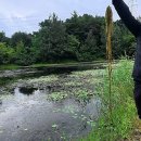 신한리 | [대구 경북 배스낚시 포인트]숨겨진 소류지 경산 배스 포인트