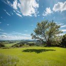 말티고개 봉황교 | 등산추천 카본 등산스틱 사용해 아빠랑 한라산 다녀온 후기
