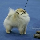 골든캐슬 쇼룸 이미지