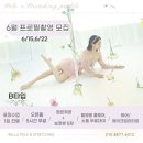 벨라폴앤스트레칭