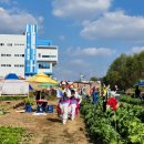 오산로컬협동조합 이미지