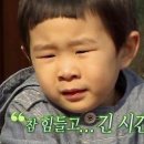 운동화 손세탁 이불 이미지
