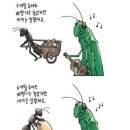 개미와베짱이 이미지