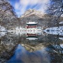 클럽아파치 이미지