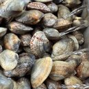 푸른수산 이미지