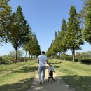 동대앞 신석쇠구이 개금점 | 10월