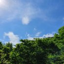 호두나무캠핑장 이미지