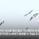 항공기 조류충돌의 위력..우리나라 발생 수 이미지