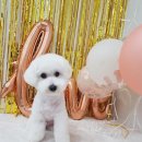 제이그루밍 이미지