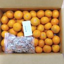 성훈농장 이미지