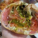 포항시북구33 | 포항 죽도시장 맛집 대게 대구회식당 후기