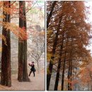 강천산(대구) 이미지