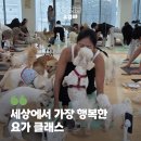 리츄얼리 | [퍼피 요가] 세상에서 가장 행복한 요가 클래스, 유엄빠 퍼피요가