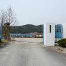 황룡초등학교 이미지