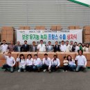 보성글로벌