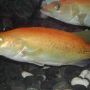 물결속으로 이미지