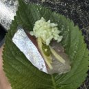 유림씨 땡큐. (3)
