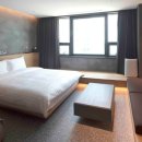 펫문화클럽 이미지