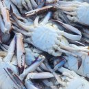 준이수산 이미지