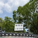 축원 | [3년 전 오늘] 석탄일 임가륜 배우님 축원 연등 달기 에필로그