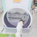 오구오구펫