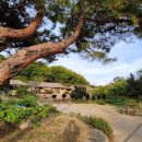 살맛나는세상 이미지