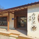 속달로 | [카페] 군포 수리산 한옥 카페 속달로에서 두릅이와 함께 고소한 아메리카노를 ☕️