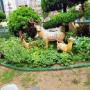 한신유치원 이미지