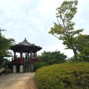 호수공원 삼거리(호수공원) | [울산 동구] 명덕호수공원 걷다 염포산정상까지 등산하고 온 후기