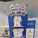 요거트월드대구 - 달서구 조암로 42 | 대구 수성구디저트 사월역 요거트아이스크림 요거트월드 사월역점 포장후기