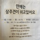 박촌강아지 이미지