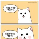 럭키마라탕 이미지