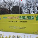 그래도 꽃 | 2026년 서귀포유채꽃 국제걷기대회 후기