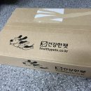 건강한 펫 이미지