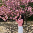 대덕동네피자 이미지