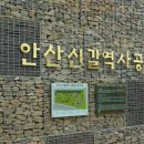 신길동 선사유적지 이미지