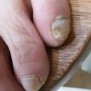 슈올즈 대전역점 이미지