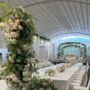 아산밸리서로 | 아산 웨딩홀 모나밸리 계약후기 2탄🌼