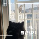 황초롱농장 | *9月 월간일기*_가을밤에 든 생각🍁🍂