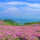 생초주유소 | (경남) 황매산 정상에 오르다!