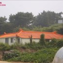 장곡리보건진료소 네이버블로그