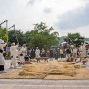 2026 증평장뜰들노래축제 기간 주차 정보 및 놓칠 수 없는 핵심 프로그램 완벽 정리 이미지