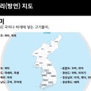 경상도에서 떡국먹을때 넣는다는 재료 이미지