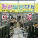 진동다육 이미지