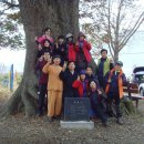 도인농장 이미지