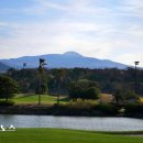 호텔테디밸리 | 제주도 골프 추천 요즘 잔디 좋은 구장 제주 테디밸리cc 예약 후기