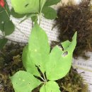 지종농장 이미지