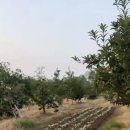 제선당한의원 이미지